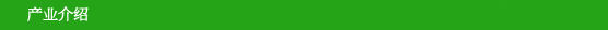 产业介绍