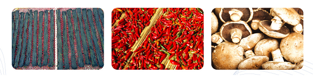 ������ �������